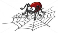 搜索引擎蜘蛛是怎样抓取网页的，如何吸引更多蜘蛛！