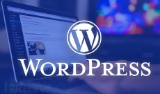 外貿獨立站 WordPress SEO優化的28個步驟