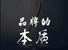 品牌的本质品牌营销与互联网品牌的引导术